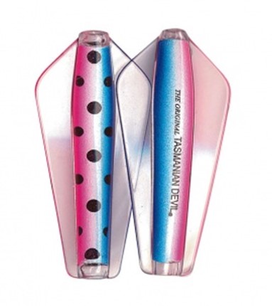 450 - Spotter Rainbow